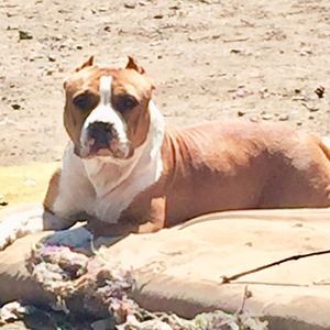 Meet your Posher, Greg